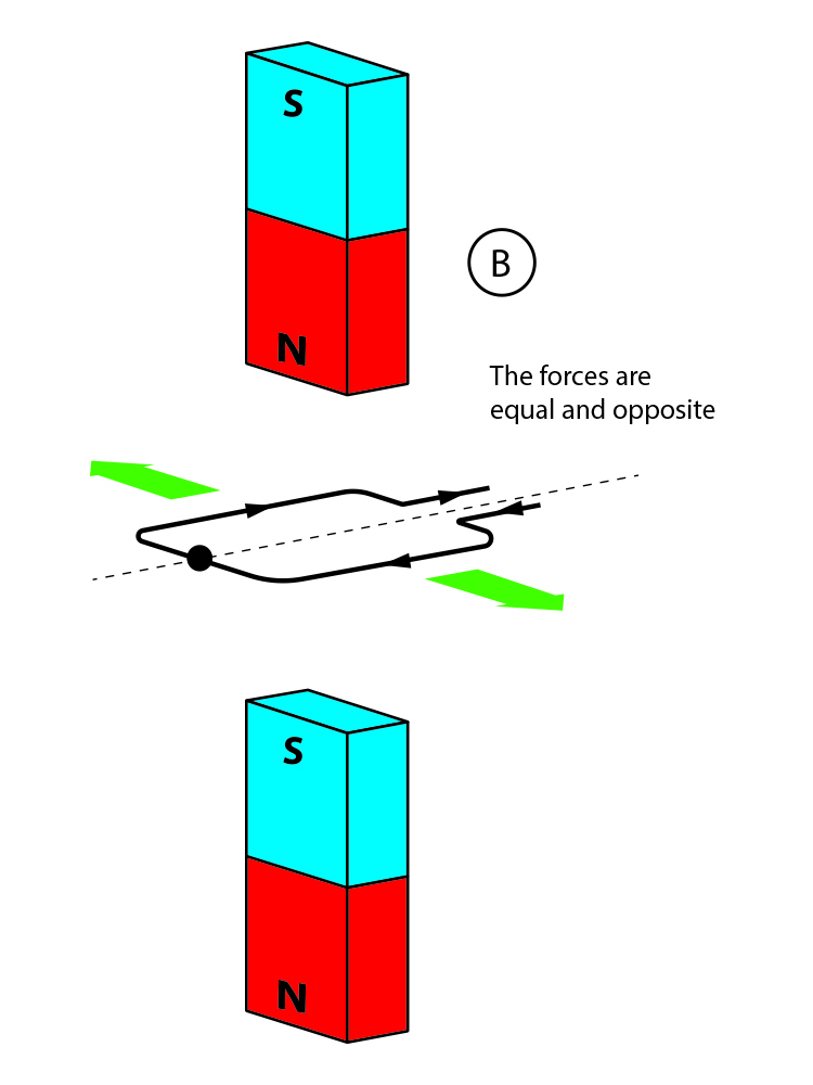 Equal and opposite forces on a coil between two magnets